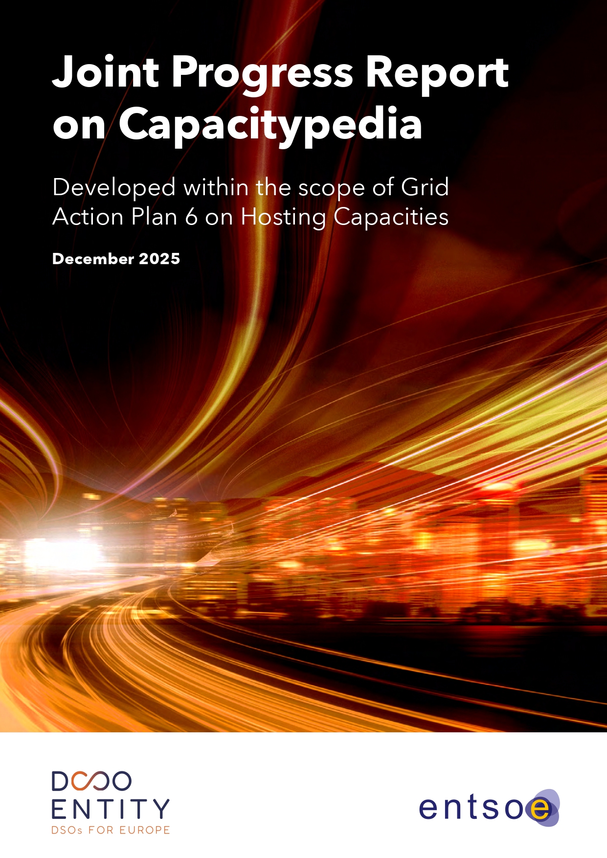 Report:<br>Joint Progress Report on Capacitypedia